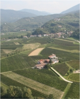 L'Azienda Agricola Dino Turco